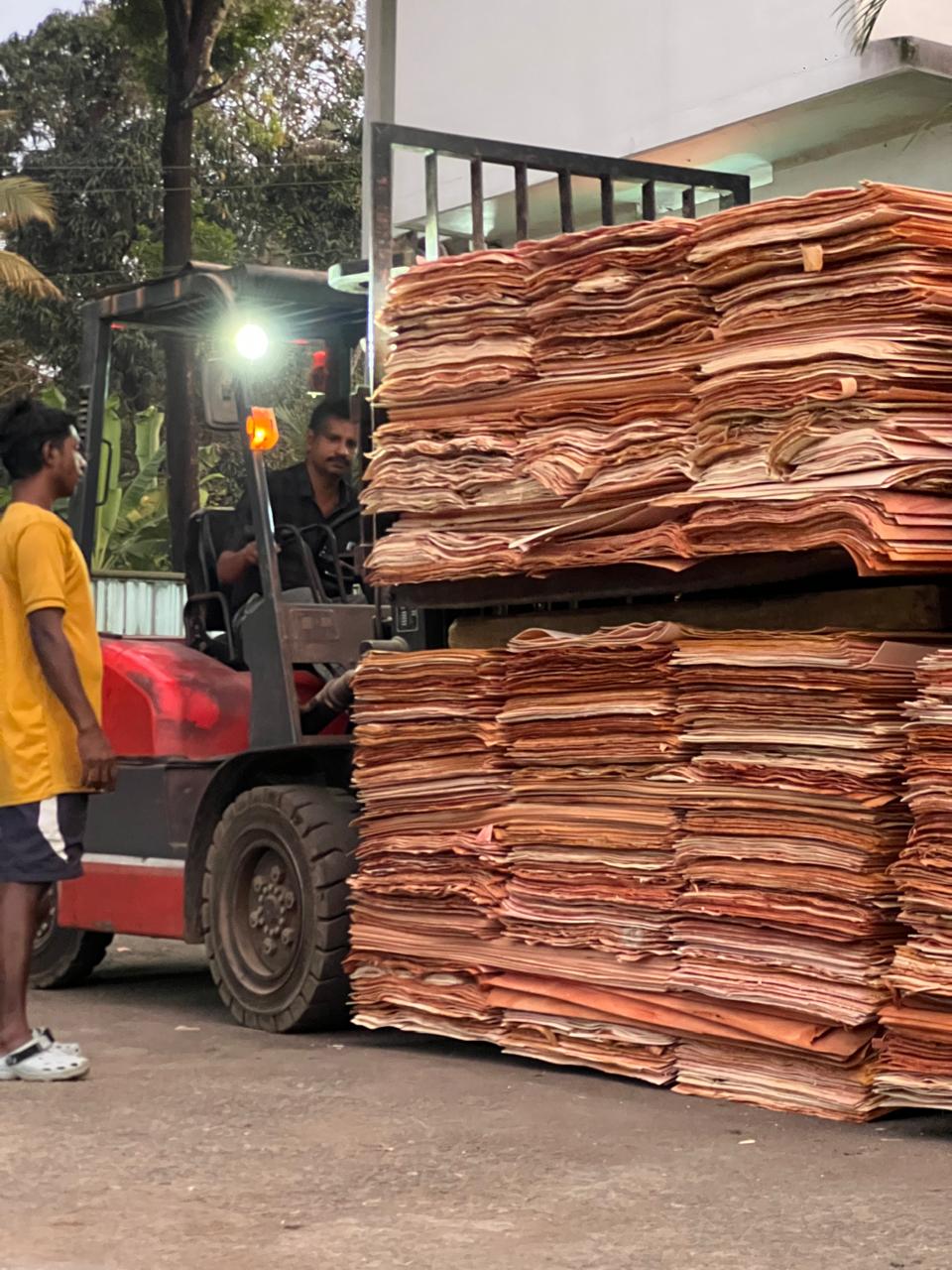 Premium Plywood Showcase